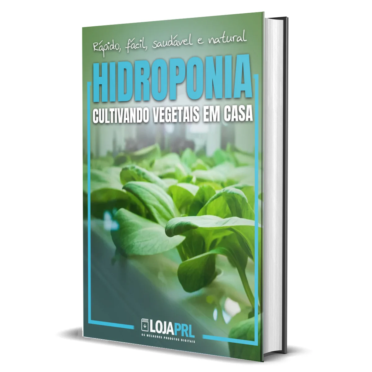 Ebook PLR Hidroponia